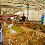 Apartament La Terrazza Sull'antico Mercato Di Ortigia